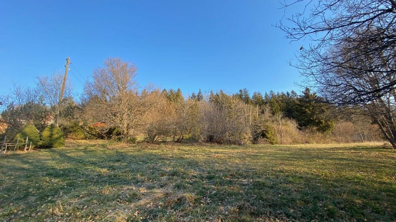 A vendre 1974 Arbaz Terrain à bâtir 